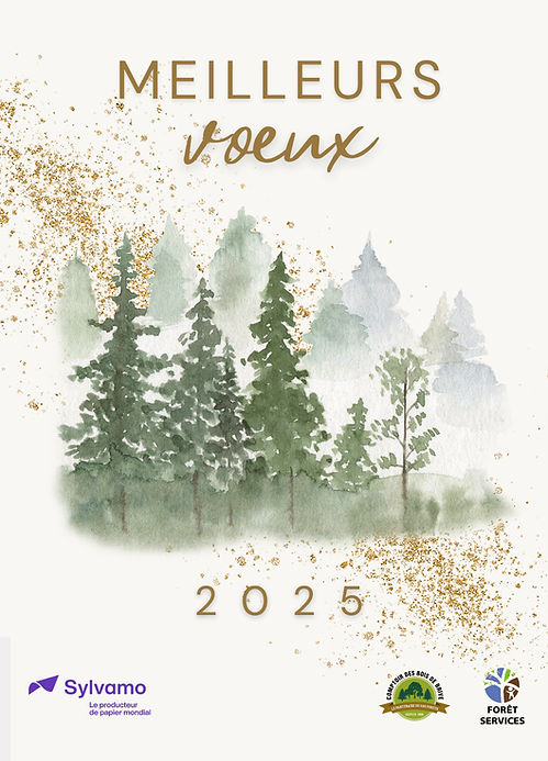 Carte de vœux 2025 Sylvamo par une agence de communication à Brive