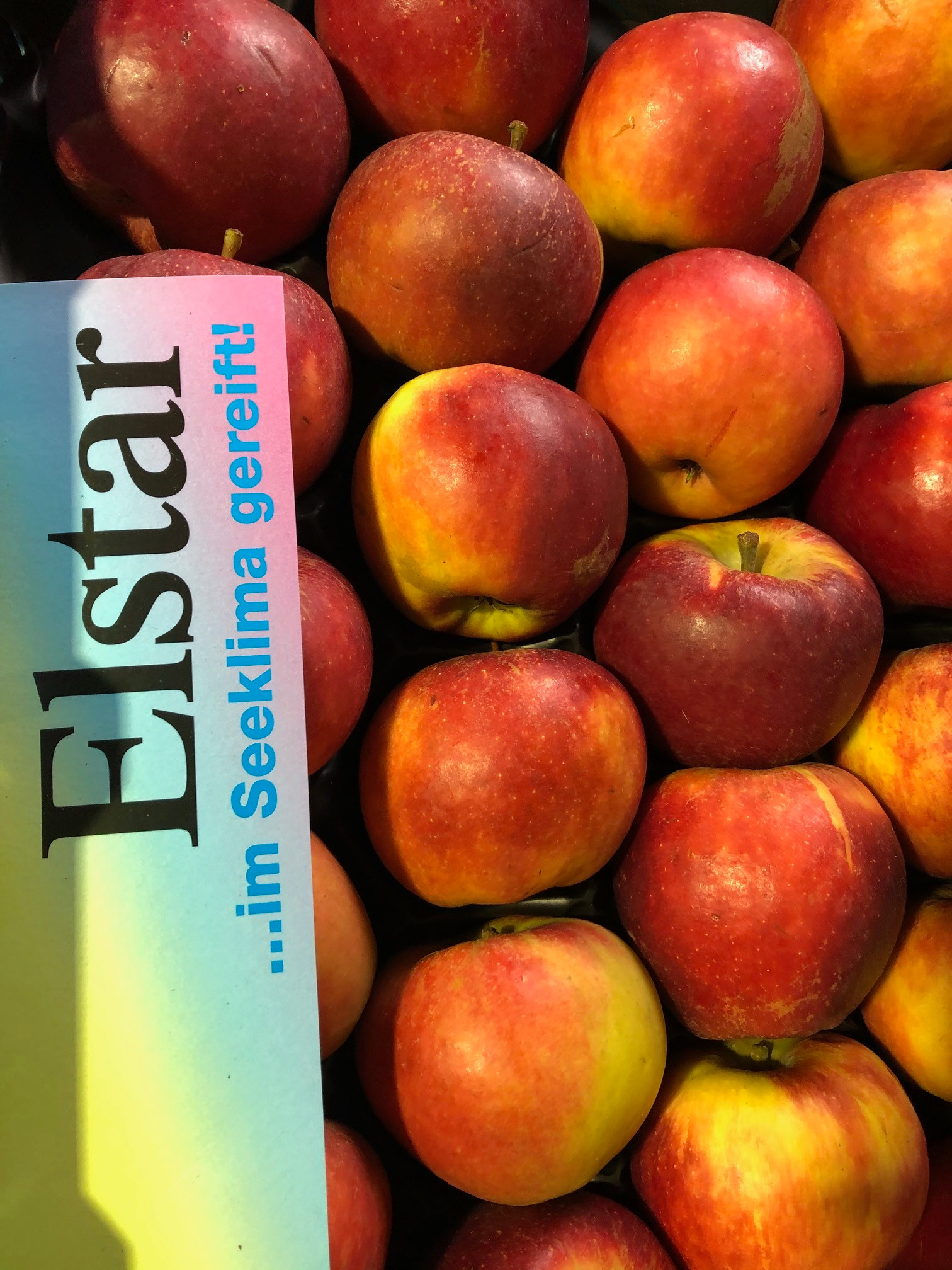 Elstar