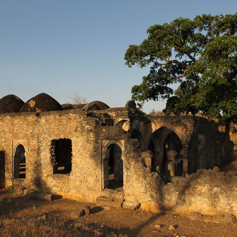 A journey to Kilwa Kisiwani
