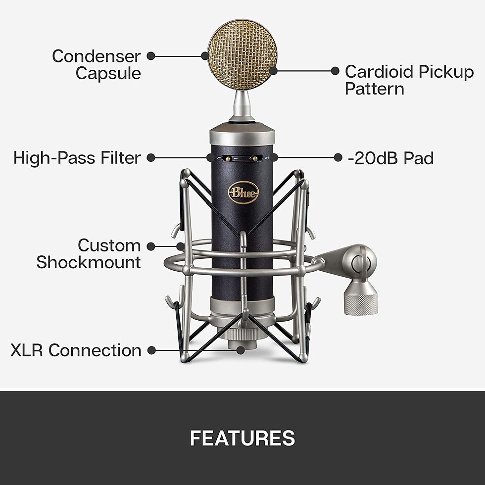 Thumbnail: Blue Baby Bottle SL Large-Diaphragm Studio Condenser Microphone
