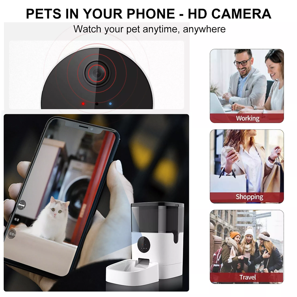 Thumbnail: []Automatic Pet Feeder (4L)
