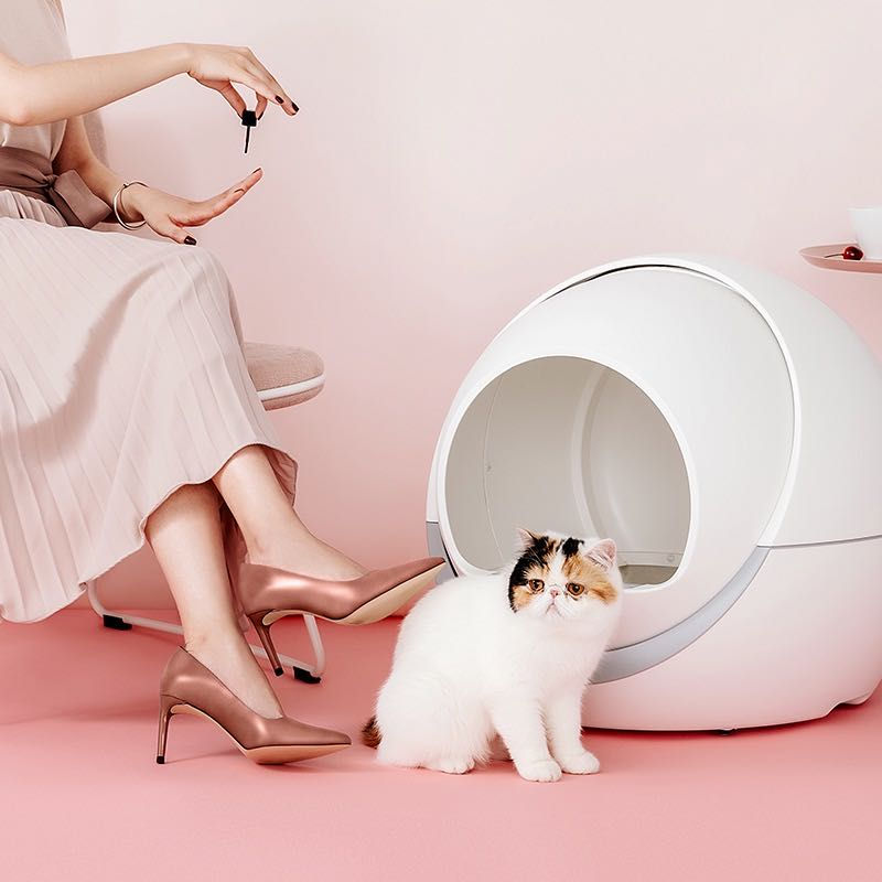 Thumbnail: []PETREE Automatic Self-Cleaning Cat Litter Box