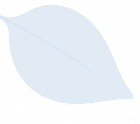 Copilot_20250531_191953 12 (3).png