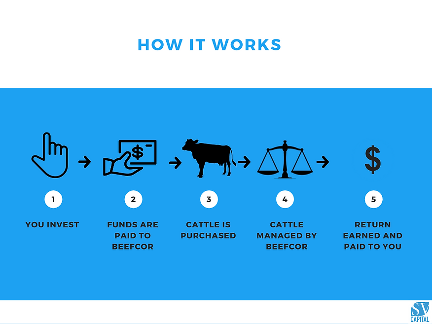 Cattle Invest Process Flow (1).png
