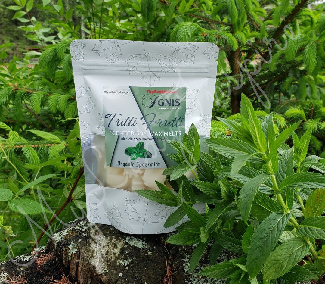 Organic Spearmint Scented Soy Wax Melts