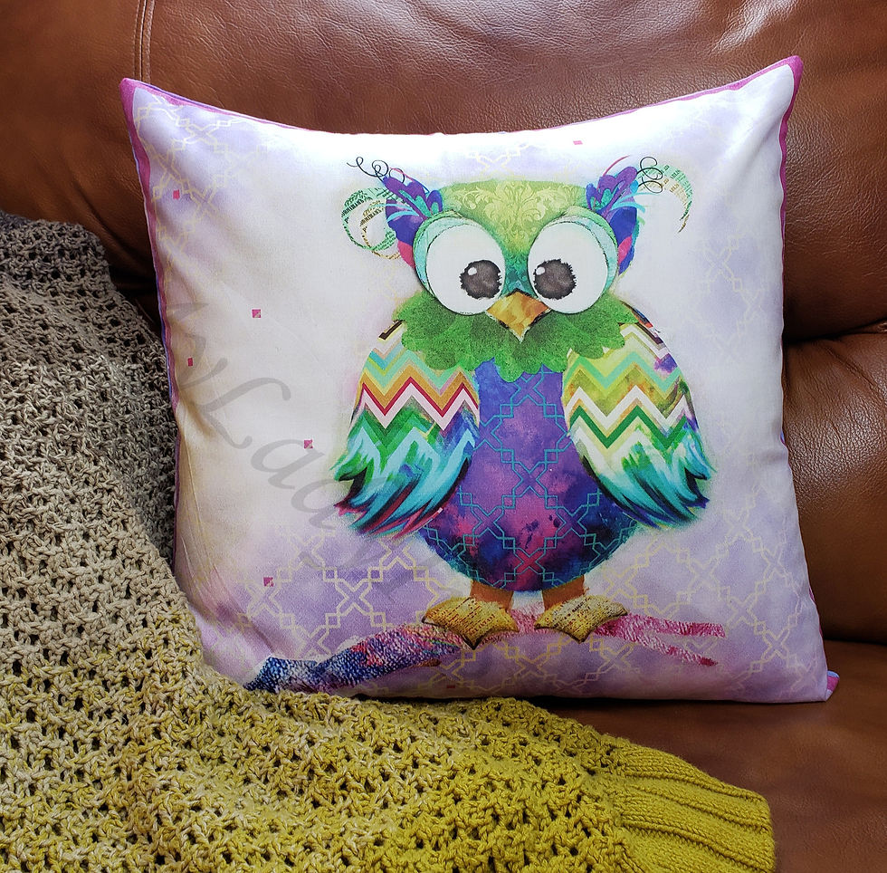 "Cordelia" Owl Décor Cotton Pillow Case - Owl Zig-Zag Wings