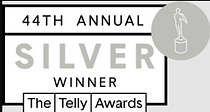 44th annual Telly Awards silver winner