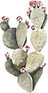 Logo Item.png