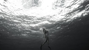 人魚は禍を呼ぶのか、それとも・・・