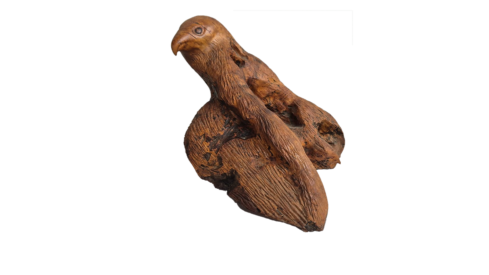 Skulptura za unutarnje uređenje od maslinovog drveta "Sokol Falco Peregrino"