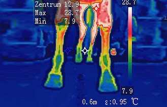 260527_Thermo_TB.jpg