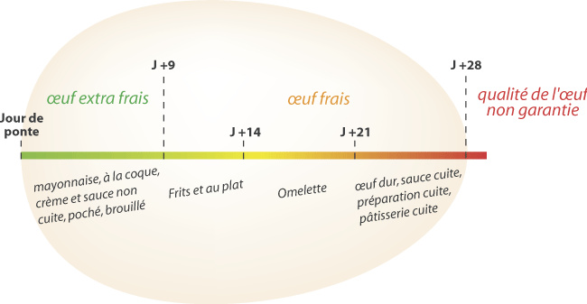conservation-oeuf.gif