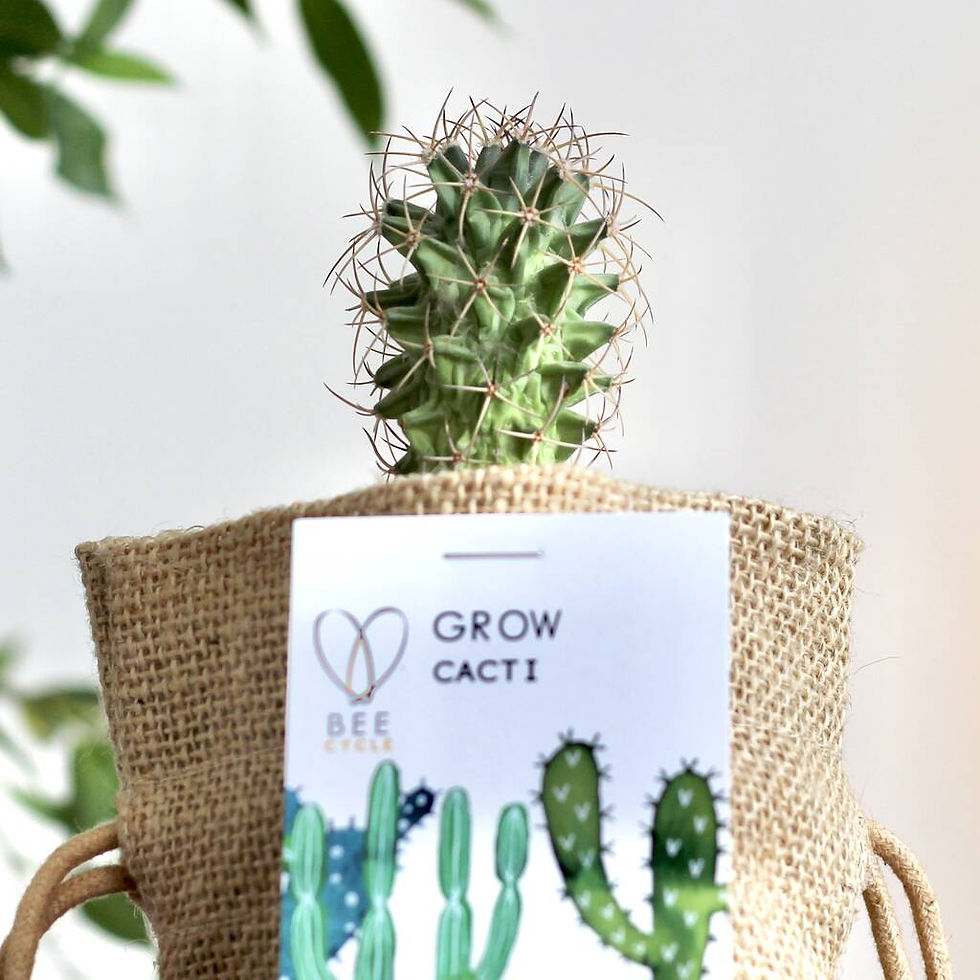 Thumbnail: Cactus/Chilli Jute bag