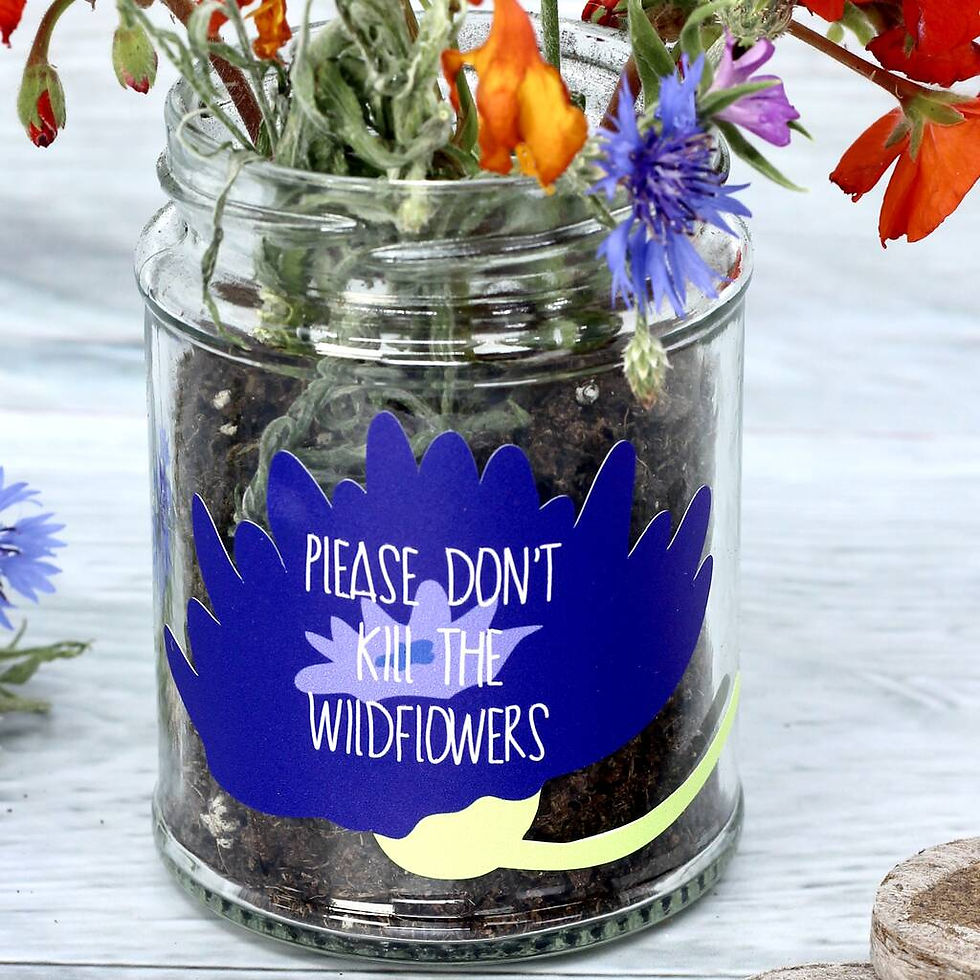 Thumbnail: Personalised 'Don't Kill Me' Wildflower Jar Grow Kit