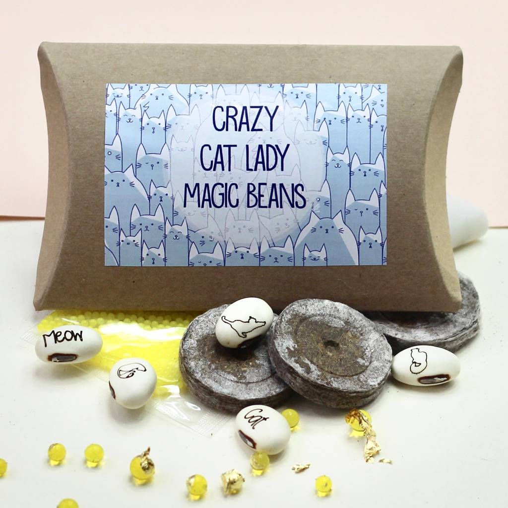 Magic Crazy Cat Lady Bean Grow Set