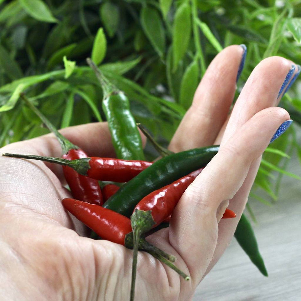 Thumbnail: Chilli Jute Bag Grow Set