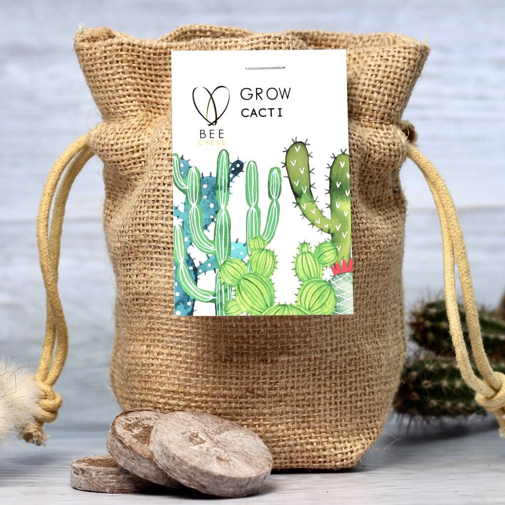 Cactus/Chilli Jute bag