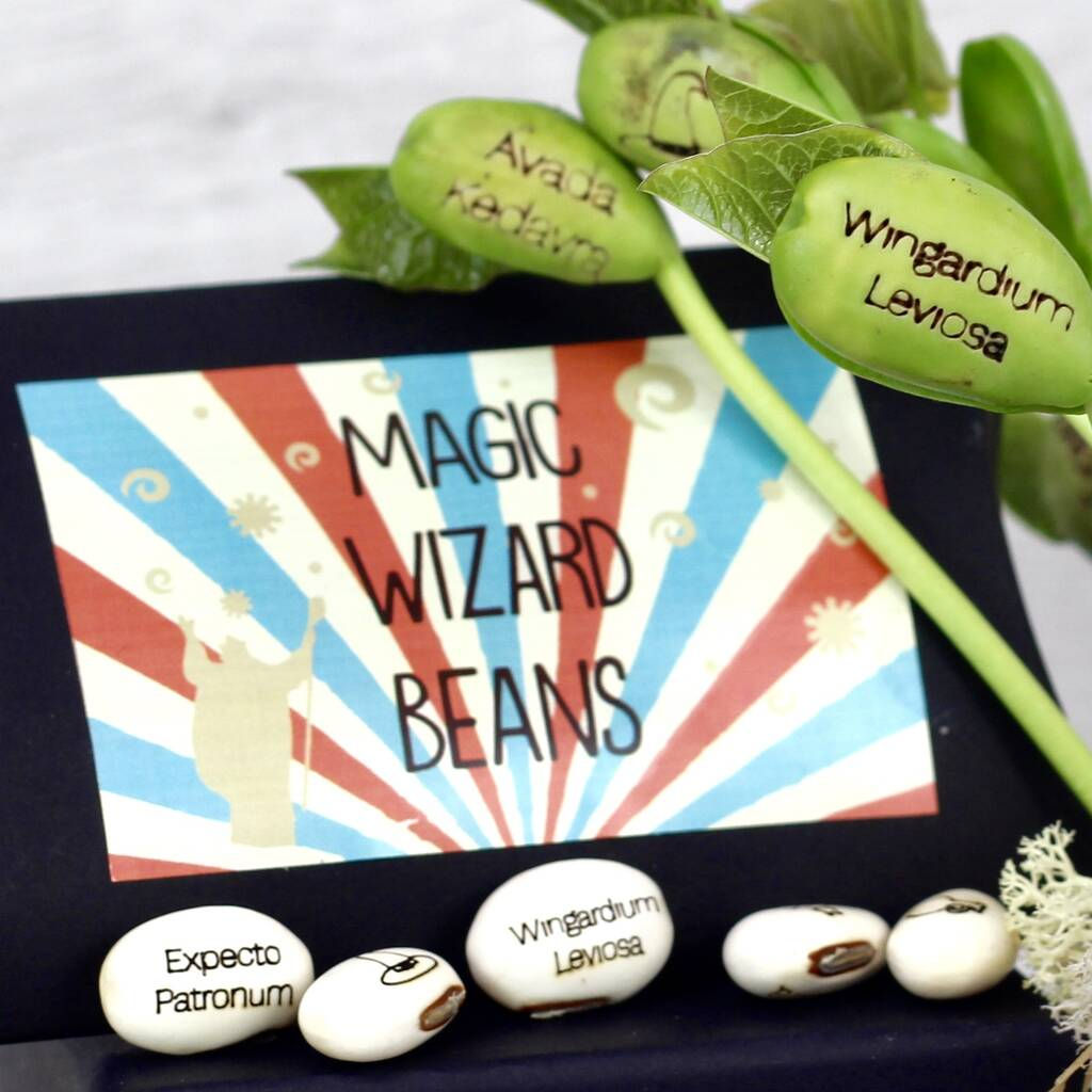 Magic Wizard Bean Grow Set
