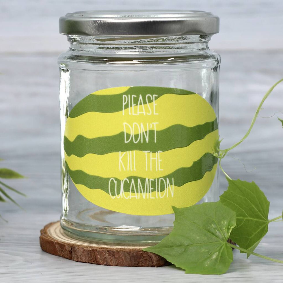Thumbnail: Personalised 'Don't Kill Me' Mini Melons Jar Grow Kit
