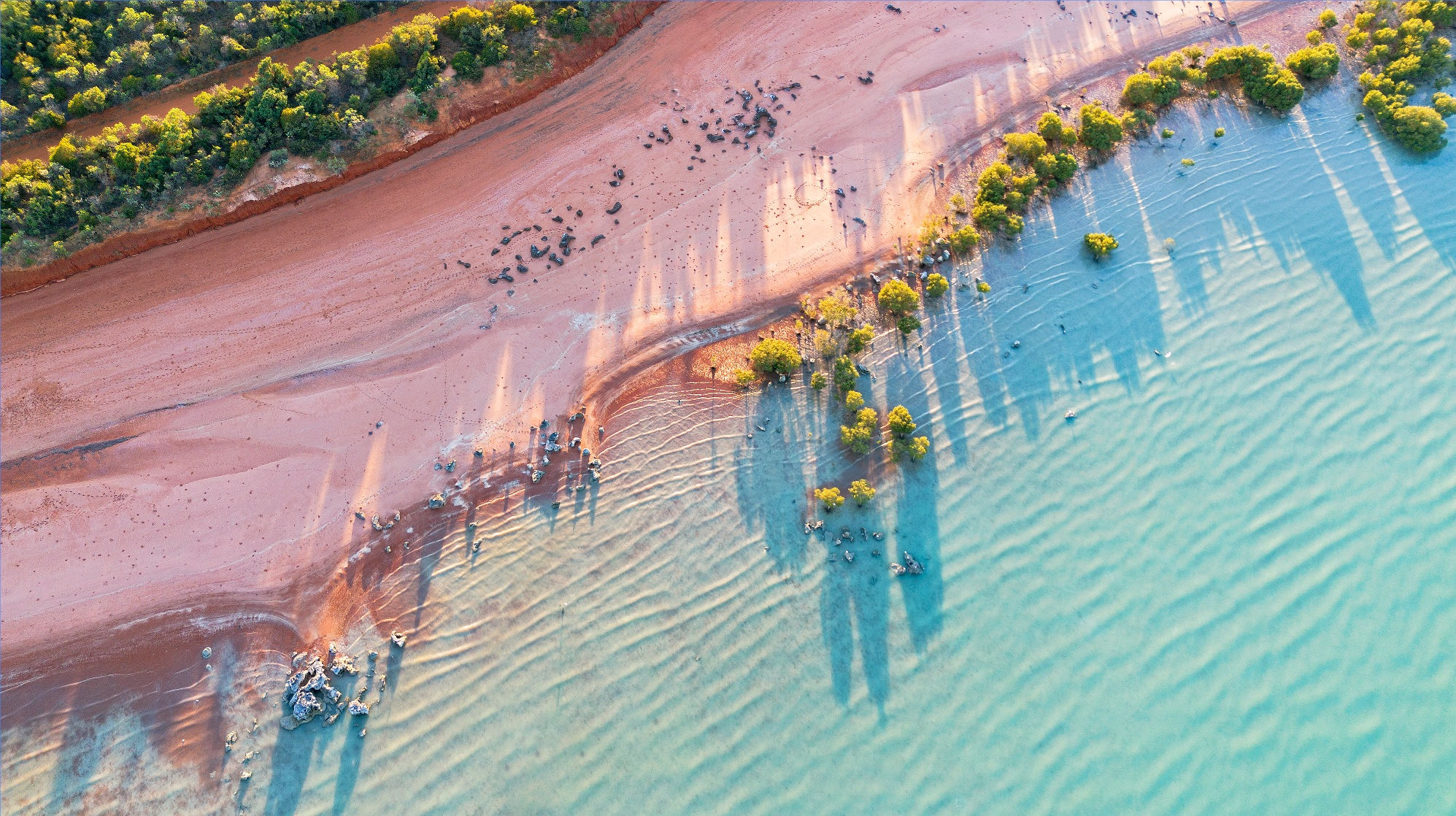 Crab Creek Morning Aerial