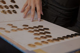 Hair Color Palette_edited_edited.jpg