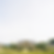freepik__cinematic-wide-shot-of-a-majestic-french-chateau-p__43256.png