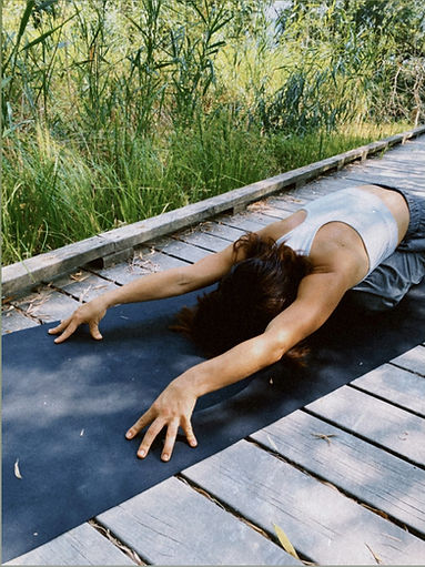 LARA VINYASA IOGA 1.jpg