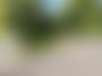 Aménagement de notre extérieur 🌿
