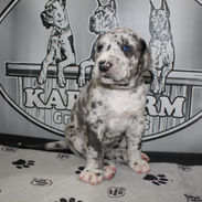 Versailles sit sign 5.JPG