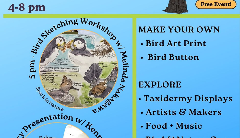 Bird Sketching Workshop at the Birder's Night Market
