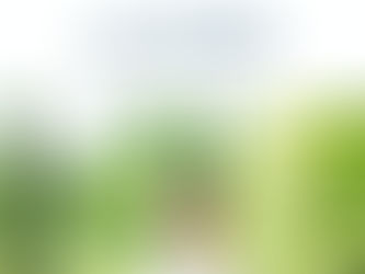 インスタグラム開設のお知らせ