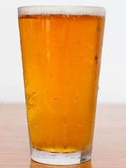 TF_MENU_BEV_.jpg