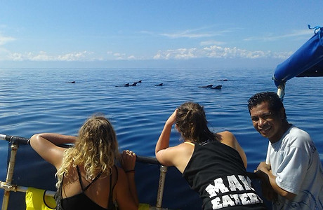 pilot whales_Atauro-Dili_MV Atauro_14 March2017.jpg