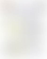 3/7/26 Big Cat Meet Itinerary and Information