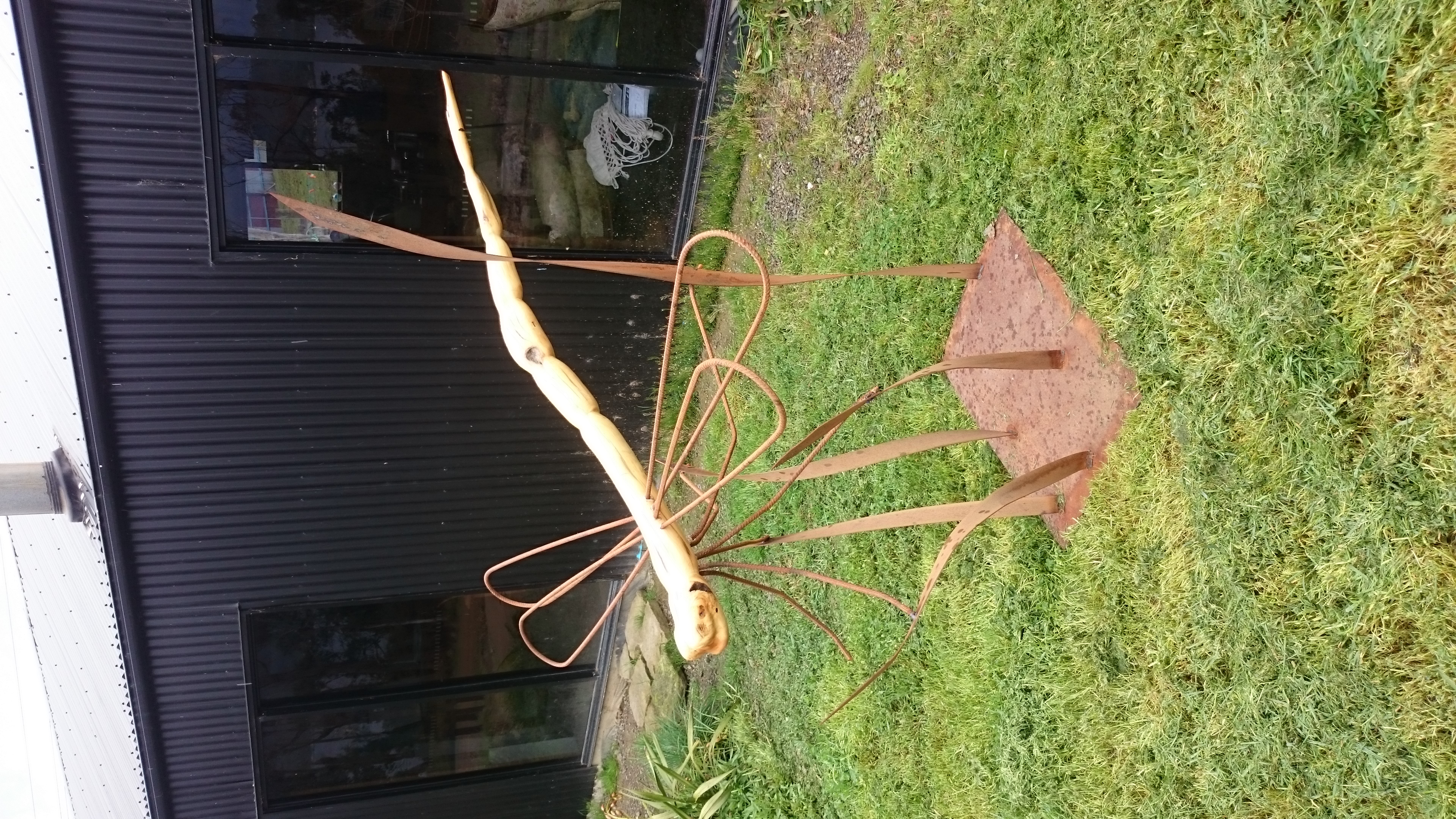 dragonfly driftwood huon pine and steel