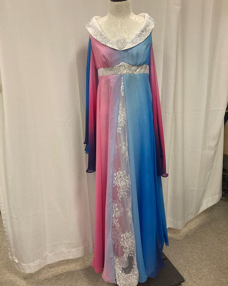 Cinderella ballgown closeup