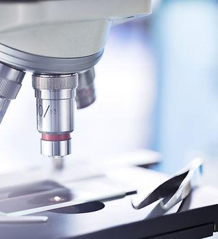 Microscope