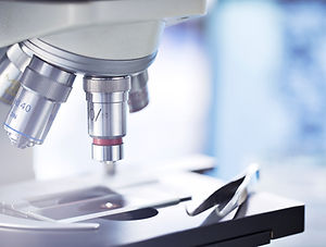 Microscope
