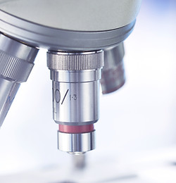 Microscopio