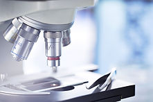 Microscope