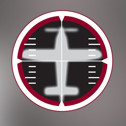 PILOTgraphic_GRAY.jpg