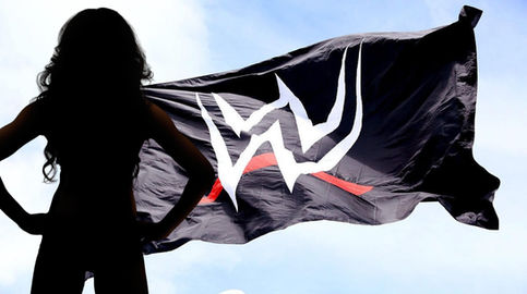 ¿Qué luchadora tiene más combates en WWE en 2023?