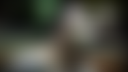 WWC regresa al Acrópolis de Manatí en ruta a Summer Madness