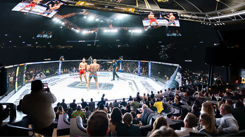 WWE y Cosm anuncian alianza para ofrecer Premium Live Events en modo Shared Reality