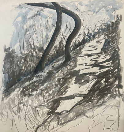 Forest Drawing