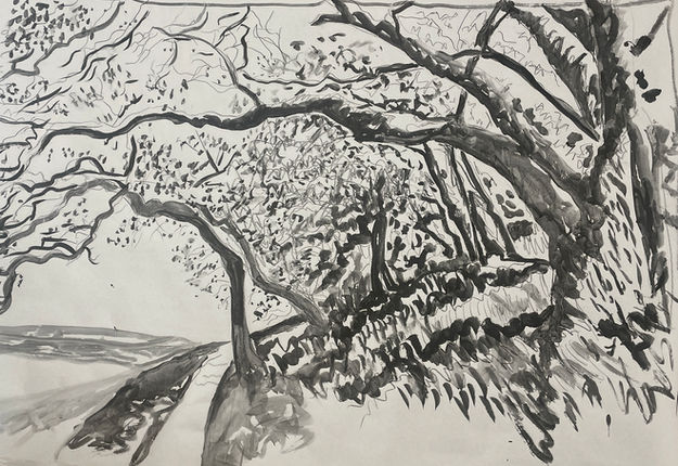 Waking Helen Putnam