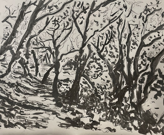Forest drawing