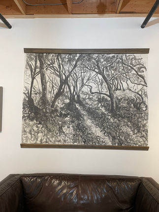 Forest Drawing