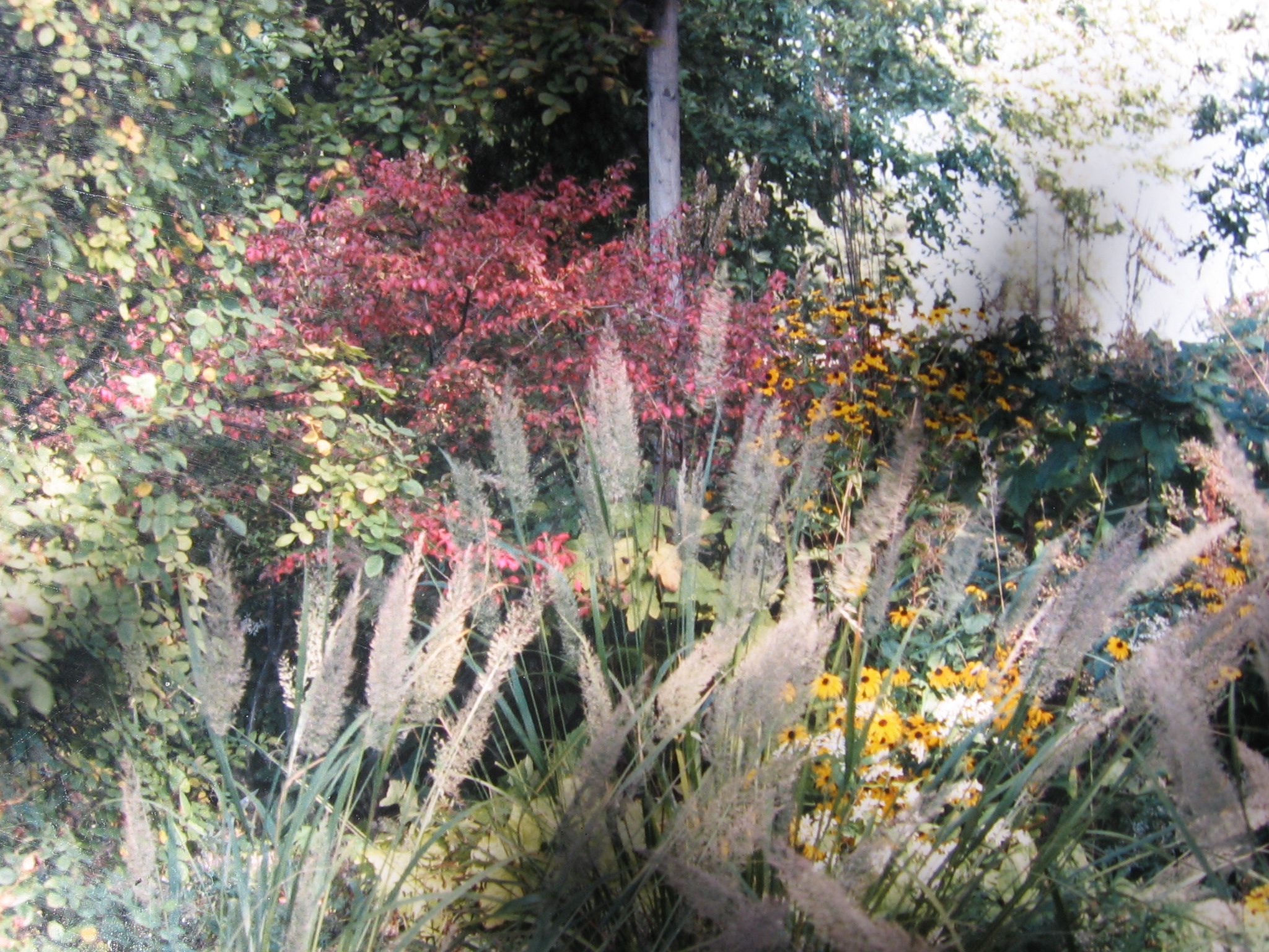 Herbst !