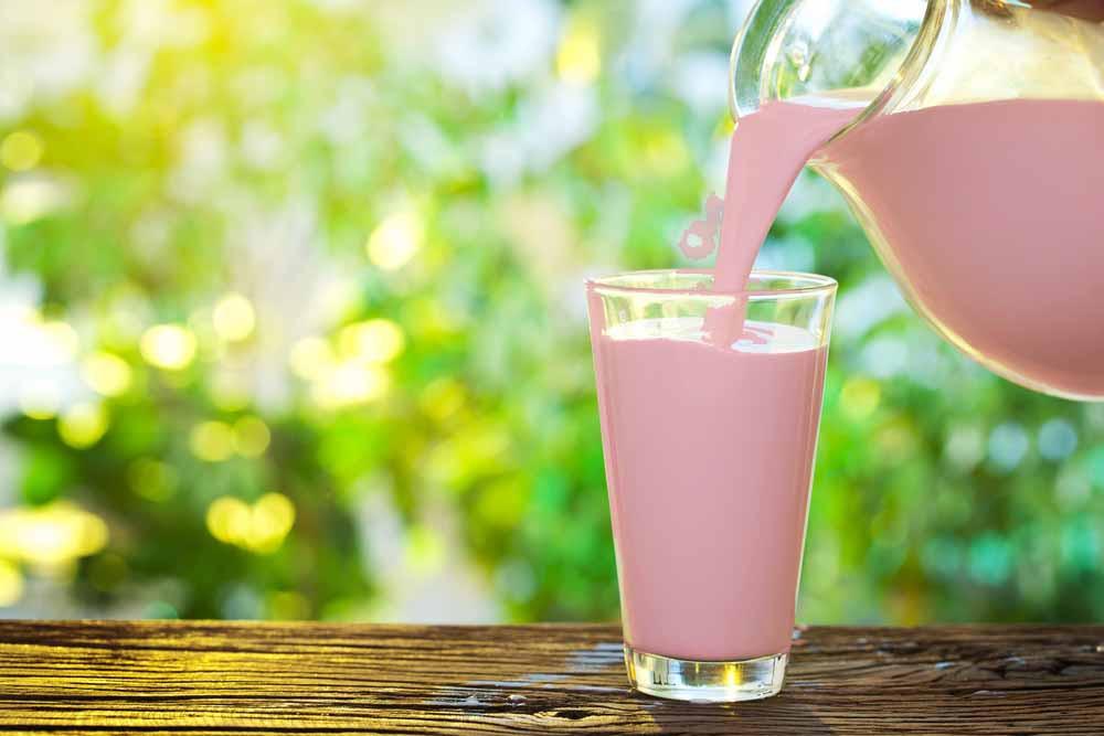 Pig Milk